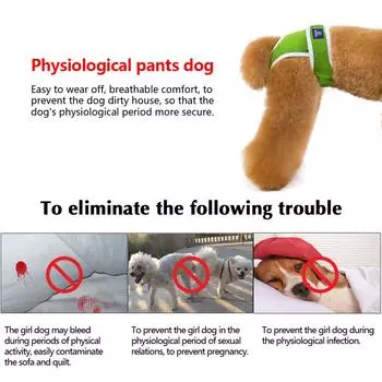 Dog Diapers Physiological Pant Washable Doggie Diapers for Female Dog Shorts Soft Girl Dogs Pants Pet Underwear Sanitary Panties S зелёный