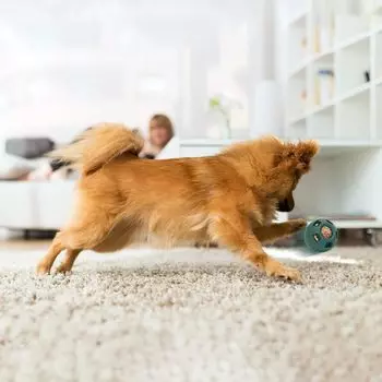 Dog Food Toy Can Be Reused Easy To Clean Natural Rubber Durable Ball Simple Durable Silicone Mold Dog Supplies