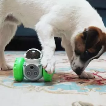 Dog Leakage Toys Exercise Intelligence Fun Educational Dogs Balance Car Slow Leaky Food Device Interactive Toy Pet Supplies жёлтый