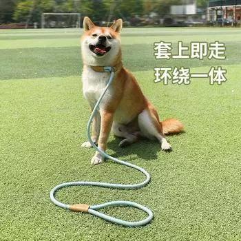 Dog Leash Medium and Large Dog Universal Safety Buckle Collar Pet Supplies 150 0.6cm