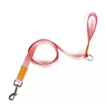 Dog Leash Nylon Tribal Pattern Durable Pet Leashes For Small Medium Large Dogs Puppy Lead 150cm Long for Walking Length150cm синий