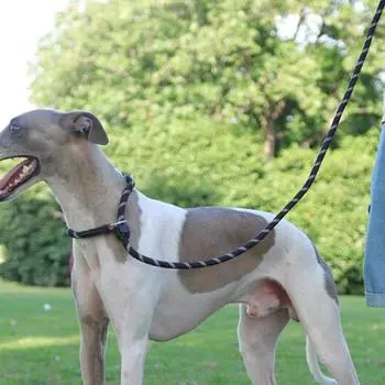 Dog Leash , Reflective Long Dog Rope Leash with Soft Padded Handle for Dogs, Suitable for Small to Large Dogs Pet Supplies фиолетовый