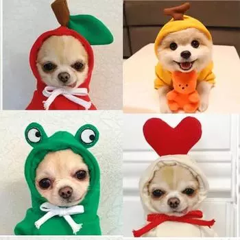 Dog Sweater Thin Pet Clothes Kitten Dog Clothes Fruit Sweater Dogs Cats Fruits Pets Autumn and Winter Sweaters XS белый