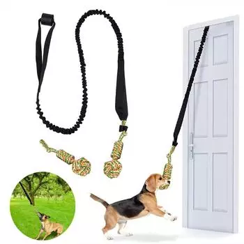 Dog Toy Interactive Tug of War Spring Rope Puppy Teeth Cleaning Molar Chew Toys Dogs Outdoor and Indoor Hanging Pull Rope Ball