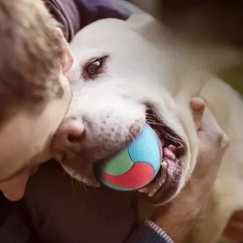 Dog toys with gritted teeth, durable and elastic balls, biting and self relieving training, color blocking rubber balls,pet toys XS темно-коричневого