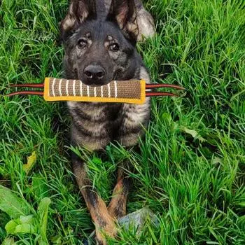 Палка для дрессировки собак, многофункциональная светоотражающая интерактивная игрушка для собак, устойчивая к разрыву игрушка для дрессировки домашних животных чёрный