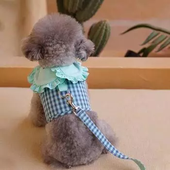 Doggyang Boutique Набор поводков для собак с оборками, нагрудный ремень, принадлежности для прогулок, мятный