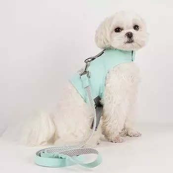 Doggyang бутик шлейка для собак, комплект одежды, свинцовый поводок, нагрудный поводок, принадлежности для прогулок, мятный