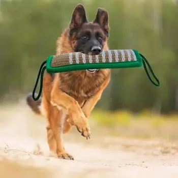 Долговечная, стабильная, безопасная игрушка для укуса домашних животных, тренировочная игрушка для собак, кусание, дергание для больших размеров