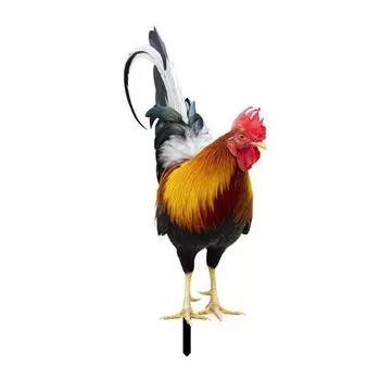 Долговечный Дисплей Куриные Украшения Садовые Статуи Садовое Искусство