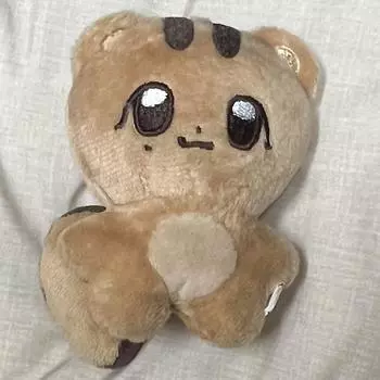 Doll Zongramji Selected By Seventeen