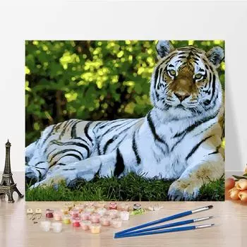 Домашнее украшение Искусство Цифровая масляная живопись DIY Живопись по номерам Цифры Картина маслом на холсте 40x50cm no frame