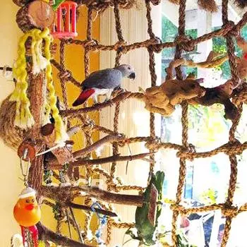 Домашнее животное, птица, качели, попугай, попугай, волнистый попугайчик, клетка для кореллы, гамак, подвесная забавная игрушка