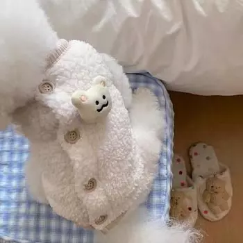 Домашние животные Осень Зима Жилет из овечьей шерсти Жилет для собак Плюшевые мишки Кошка Собака Одежда Утолщенная теплая Одежда для домашних животных Одежда для собак для маленьких собак XS