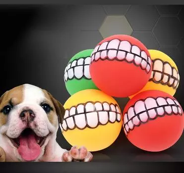 Домашние животные Собака Кошка Щенок Мяч Зубы Игрушки