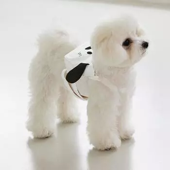 Домашние животные вылезают из рюкзаков, собаки, кошки, маленькие школьные ранцы, плюшевые бишоны на груди, милые мультяшные щенки S