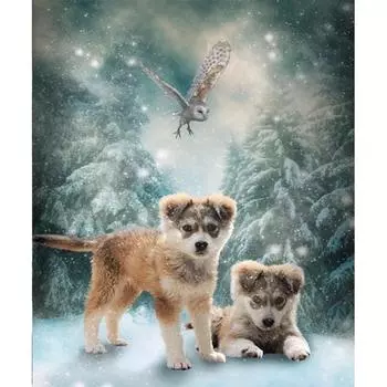 Домашний декор DIY 5D Алмазная вышивка Две собаки Набор для вышивки крестом Абстрактная живопись маслом Ремесло 20X30CM