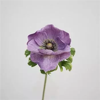 Домашний свадебный букет, цветочные искусственные анемоны, сенсорные цветы, цветочная композиция, настоящий декор, искусственная ветка, свадебная роза из искусственной кожи 63cm белый