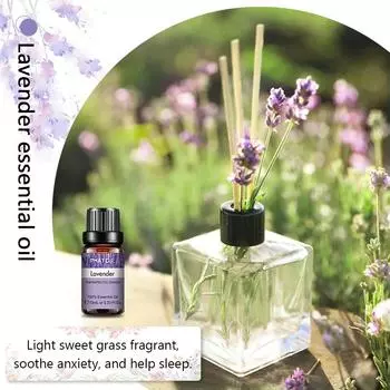Домашняя ароматерапия Ротанговый тростник Ароматическое масло Диффузор Бутылка для ароматерапии Диффузор свежести воздуха Декор для дома и офиса Эфирное масло Ароматерапия Rattan Aromatherapy