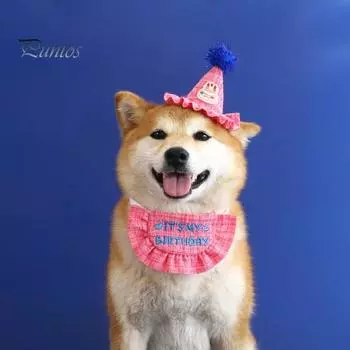 Домашняя собака, вечеринка по случаю дня рождения, шляпа, вышитый кошачий нагрудник, костюм, изысканное украшение с блестками, кружевная вышивка, регулируемые аксессуары для домашних животных для маленьких и средних собак розы красного