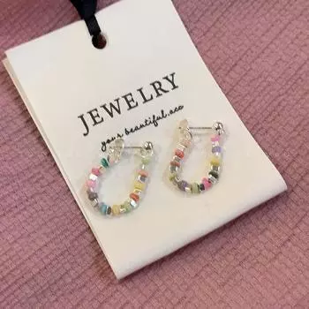Dopamine Color Small Pieces of Silver Beaded Earrings for Women Niche Style Design Sense Earrings Summer Gentle Earrings Earrings Rainbow broken silver earrings-Silver Needle