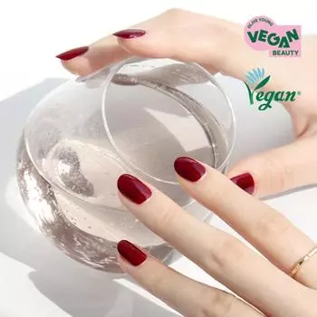 Дорогой.Вино Мерло SE19