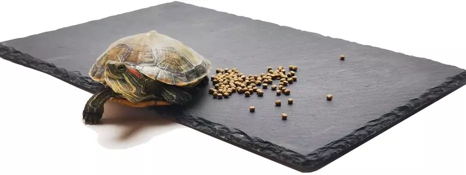 Доска для сушки черепах из камня для рептилий, напольный материал, подкладка для ящика для разведения, удерживающая тепло, увлажняющая тарелка для еды, внутренняя часть ящика для разведения, используется для полировки ногтей