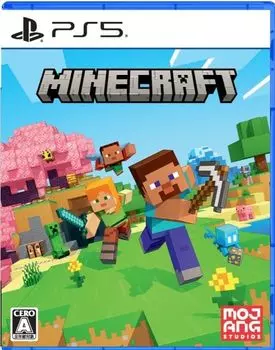 Доставка цифровых обоев Minecraft PS5 -