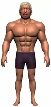 Downtown Gaki no Tsukai Ya Never Laugh Gaki Tsukasa Мягкая виниловая кукла 2020 Забавная кукла-мачо Фигурка Хитоши Мацумото в центре города Arahende!!