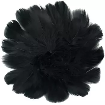 Doyeemei Feather Feather Plenty of 200 Plenty of 200 Декоративные поделки DIY Декоративный черный душ, душ, перья, кусочки, перья, кусочки,