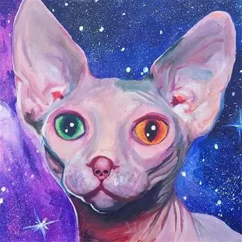 DP 5D Алмазная вышивка Полный круглый кристалл Алмазная картина Кошка Вышивка крестом 30*30 cm