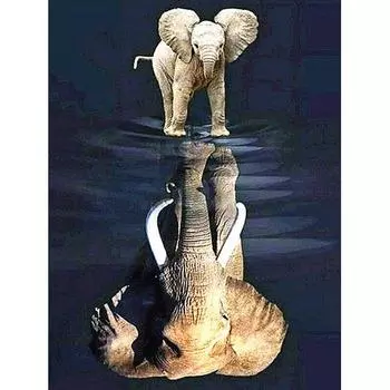 DP Алмазная вышивка животное 5D Алмазная картина слон вышивка крестом узор Алмазная мозаика 30*40 cm