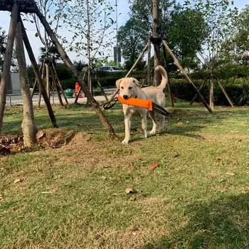 Дрессировочная палочка для укусов собак, износостойкая льняная светоотражающая лента, подушка для укусов собак, очищающая зубы, скрежещущая молярами, принадлежности для дрессировки собак
