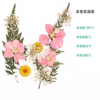 Dried Flower Transparent Bookmark Handicraft DIY Material Collect Flowers Leaves Specimen Plastic Packaging Film Glass Creative Bookmarks K Color Flower Language Collection (11 Flowers)