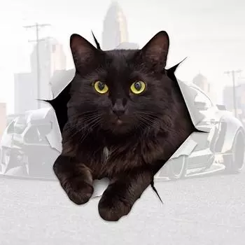 DS05#18x20см 3D наклейки с кошками, наклейки на стену с черными кошками, наклейки с кошками для спальни, холодильника, автомобиля, стены 18x20cm