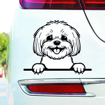 DS84#15x12см Выглядывающие собаки виниловые наклейки на автомобиль животные милые украшения наклейки на автомобиль 15x12cm