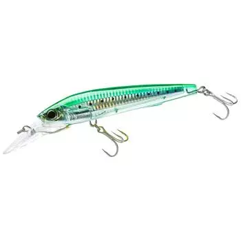 DUEL Lure Trolling 3D Magnum S 180mm CPNI 100g YO-ZURI Weight R1164-CPNI-Sardines
