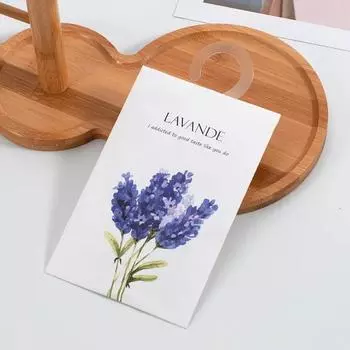 Духи для женщин, садовая комната, ароматизатор для дома, одежда, дезодорант, саше, подвесной ароматерапевтический шкаф, обувной шкаф, Febreze Decor ярко-розовый