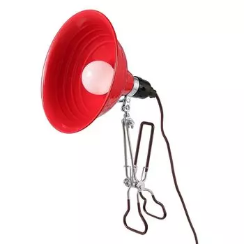 Dulton Aluminum Clip Lamp Medium Red Clip lighting with a distinct personality Light Outlet Photography Work RED Body length 37cm Diameter Cord length
