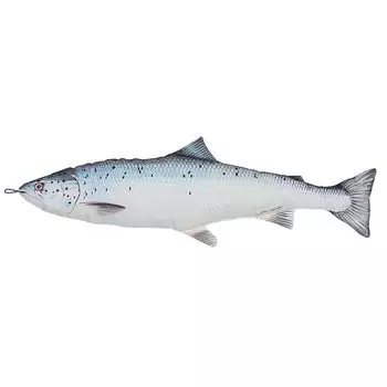 Dulton Рыбы Лосось 65 Подушка-рыба для повседневной жизни Большая подушка для тела Морская жизнь Скандинавский Salar РЫБЫ Общая длина 65 см Лосось/Лосось/Salmo Y-0512