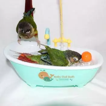 Душевая ванна для купания птиц Lovebird Кормушка для птиц Чаша для попугаев Автоматическая ванна Аксессуары для птиц синий