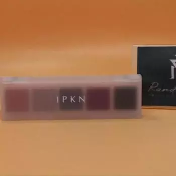 Dust Moth x IPKN Personal Mood Palette Plain Winter Plain Winter 5g eyeshadow