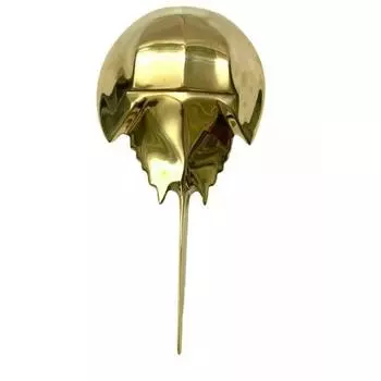 Дверной молоток из твердой латуни, дизайн рыбы ската/морские дверные аксессуары, домашний и офисный декор, молоток, подарок