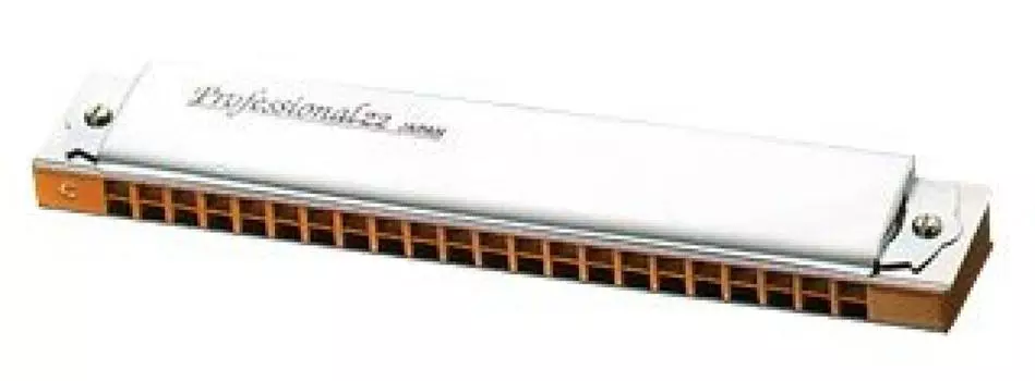 Двойная губная гармошка 1722 Bm [TOMBO] (22 лунки) [Профессиональный 22] (Си минор)