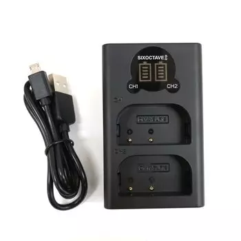 Двойное зарядное устройство, совместимое с str, USB-зарядное устройство, заряжает до 2 аккумуляторов одновременно Panasonic Lumix DC Для камеры DMW-BLF19 DMW-BTC10 [Can time] DMC-GH3
