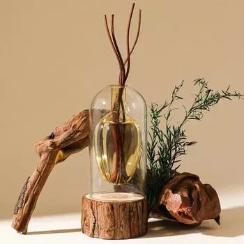 Двухслойный стеклянный флакон для ароматерапии, флакон для испарения эфирного масла, флакон для расширения, ваза для украшения спальни