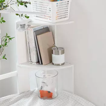 Двухслойный стеллаж для хранения вещей, настенный органайзер для гостиной, офиса, общежития S