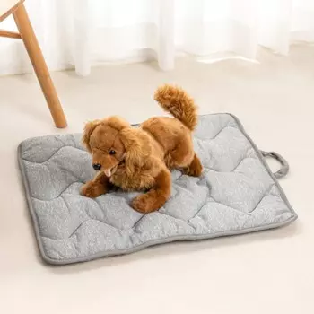 Двусторонний коврик Pet_2Way (50X60)