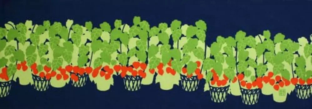 Dyeing Anbo Hand Towel Day Authentic Dyed Cotton Tokuoka Made in Japan 35cm x 100cm Hozuki Night 100%