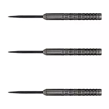 DYNASTY BLACK LINE BIONIC2 Bionic 2 STEEL Berry Van Peer Player Модель Dart Barrel Набор дротиков A-FLOW